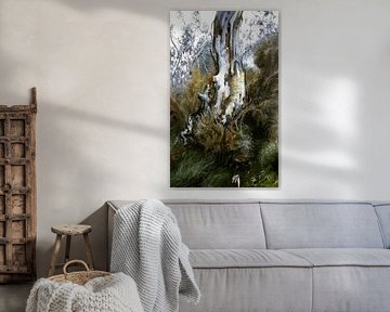 Australische Landschaft weißer Eukalyptus