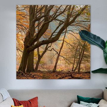 Forêt de Speulder sur Evert Jan Kip