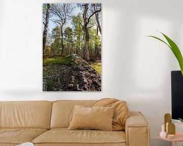 Wald im Frühjahr von Evert Jan Kip