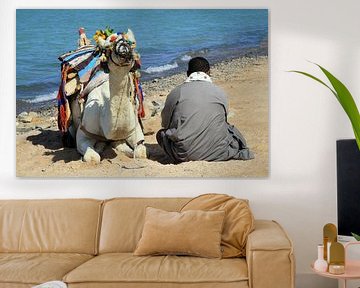 Man met de kameel van Jolanta Mayerberg