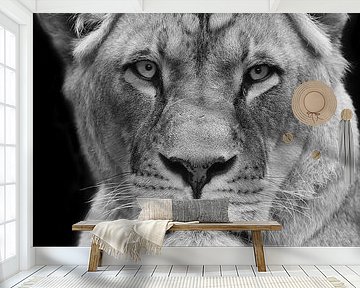 Close up of a lioness in black and white by Patrick van Bakkum