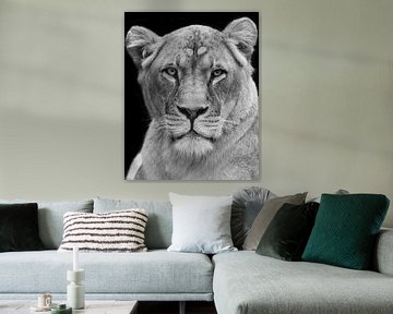 Gros plan d'une lionne en noir et blanc sur Patrick van Bakkum