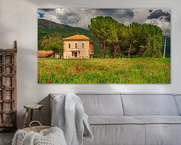 Bauernhof in Italien mit blühendem Mohn I von Teun Ruijters