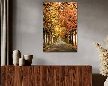 Rozenvendreef in prachtige herfstkleuren van Fotografie Jeronimo