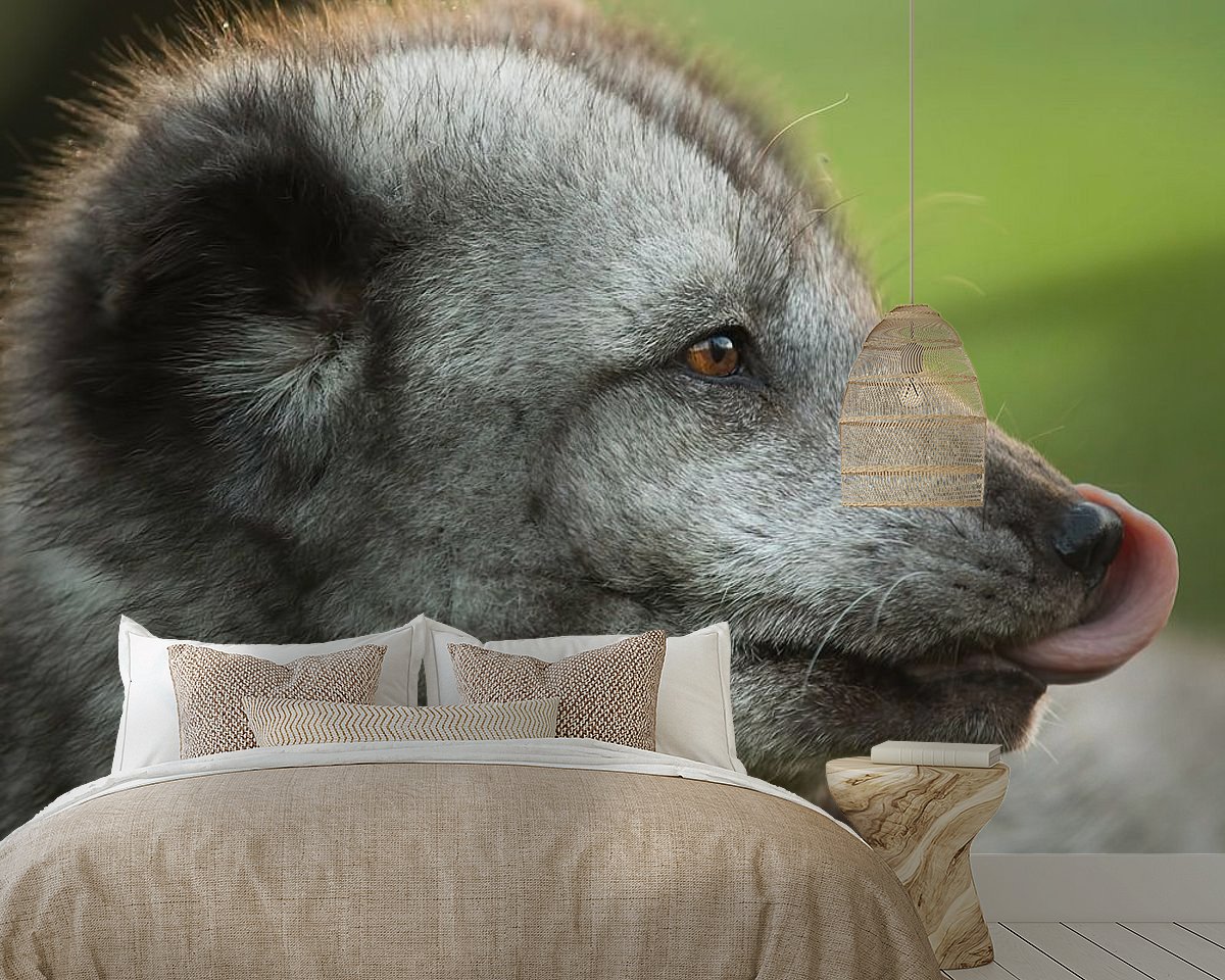 Raumvorschau
