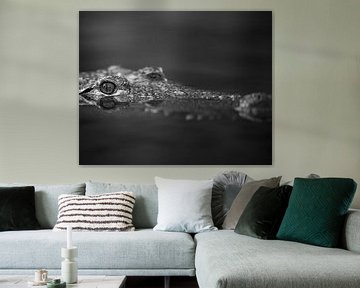 Crocodile avec l'œil juste au-dessus de l'eau en noir et blanc sur Patrick van Bakkum