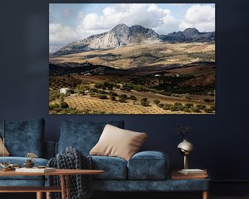 Spain Landscape with mountains and olive trees