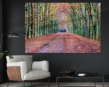 Herbst in Lage Vuursche von Bert Vos