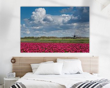 Prachtig Hollands landschap van Peter Leenen