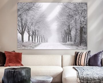 Winter in Zeeland by Frank Peters