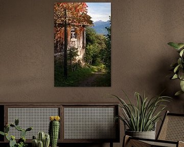 Herfstkleuren in Centraal Zwitserland van John Faber