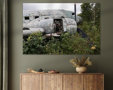 Verlassenes Flugzeugwrack Dakota von Ger Beekes