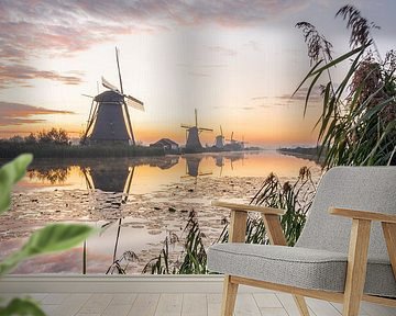 De molens van kinderdijk van Albert Lamme