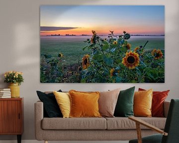 Sunflowers at sunrise in a polder landscape on Walcheren by Marcel Klootwijk