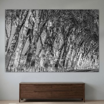 Abels in Schwarz-Weiß von Marcel Klootwijk