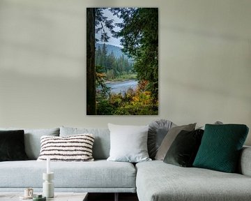 The Hoh River seen from the Hoh rainforest by Rauwworks