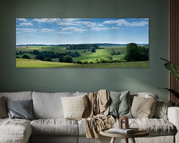 Landschaft mit Kühen in den belgischen Ardennen bei Stavelot und Troisponts. von anton havelaar