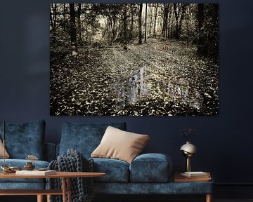 Sentier forestier humide