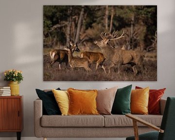Deer during the bronze age by Menno Selles