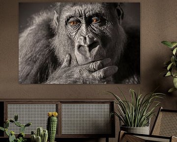 Gorilla close up portret in zwart-wit met bruine ogen. van Sjoerd van der Wal