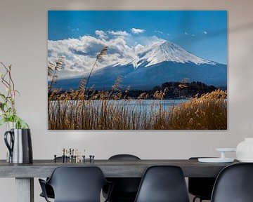Mount Fuji in de winter van Peter Leenen