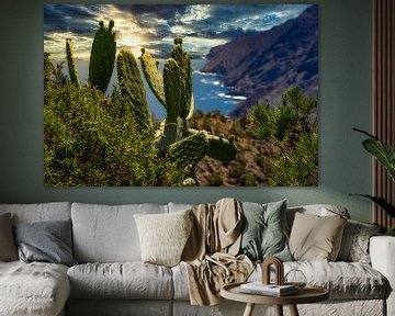 Cactussen en kliffen op La Gomera van Max Steinwald