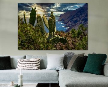 Cactussen en kliffen op La Gomera van Max Steinwald