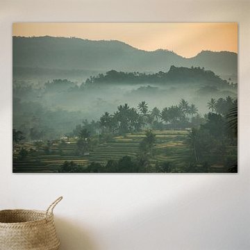 Foggy rice fields in Sideman on Bali in Indonesia