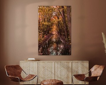Bomen in Herfstkleuren van Stephan Scheffer
