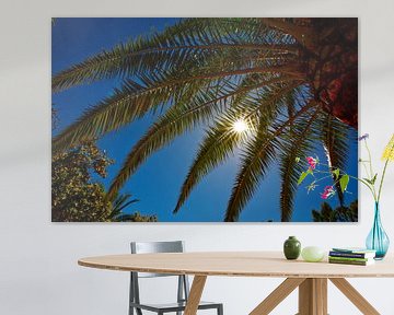 Palmboom en schitterende zon met blauwe lucht. van Edith van Aken