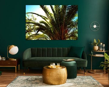 Uitzicht op palmen en groene bomen en bladeren met zonnestralen. van Edith van Aken