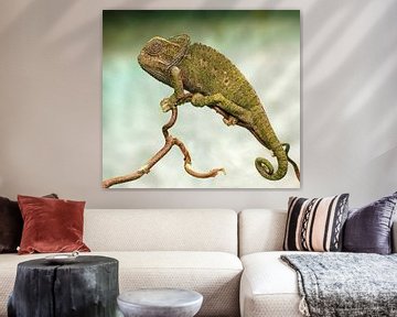 Chameleon by Loek Lobel