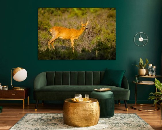 Aperçu de la chambre