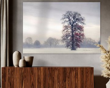 Winter boom in de mist van Rob Visser