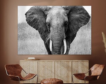 Afrikanischer Elefant von Pieter De Wit