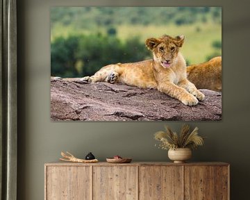 Löwenjunges von Pieter De Wit