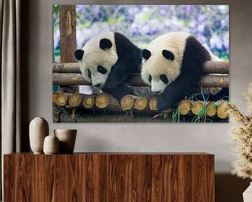 Panda by Pieter De Wit