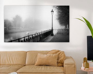 In einer Reihe von Jan van der Knaap