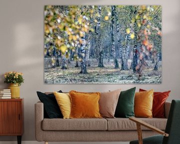 Herfstkleuren van een berkenbosje bij Kortenhoef van Ron van Gool