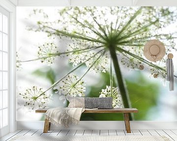 Spring explosoin by Carla Mesken-Dijkhoff