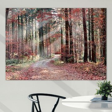 Red autumn forest with sunbeams