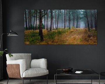 Een bospanorama van het Sterrenbos van Willem Jongkind