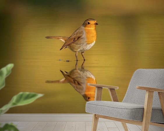 Voorbeeld van het werk in een kamer