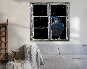 Window View - Raven by Christine Nöhmeier