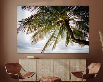 Palm trees in Thailand by Lindy Schenk-Smit