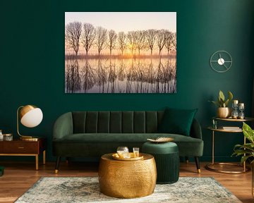 Auswahl von Bäumen im Amstel mit aufgehender Sonne und Nebel von Koen Boelrijk Photography