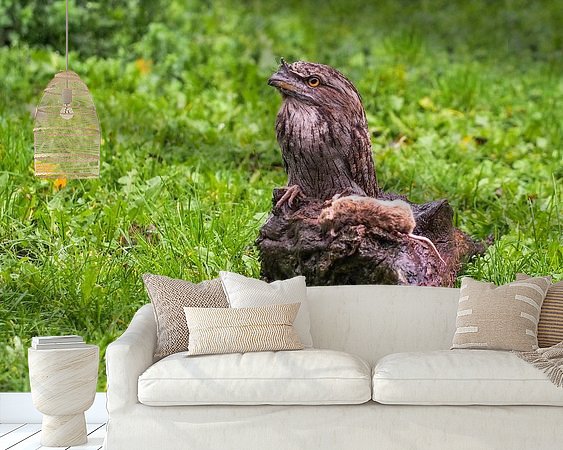 Aperçu de la chambre