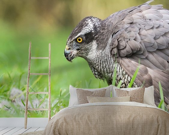 Aperçu de la chambre