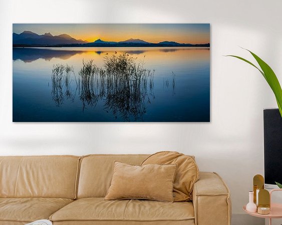 Aperçu de la chambre