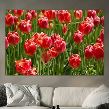 Blumen, die wunderschön blühen.